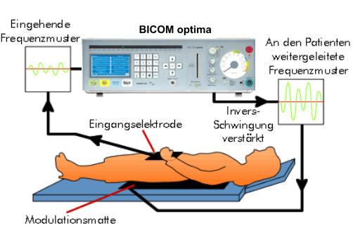 BICOM optima